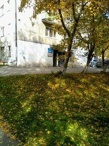 Окрашивание волос